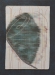 Ootheca